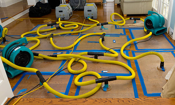 Professional Structural Drying And Dehumidification technician working in Fresh Meadows, NY